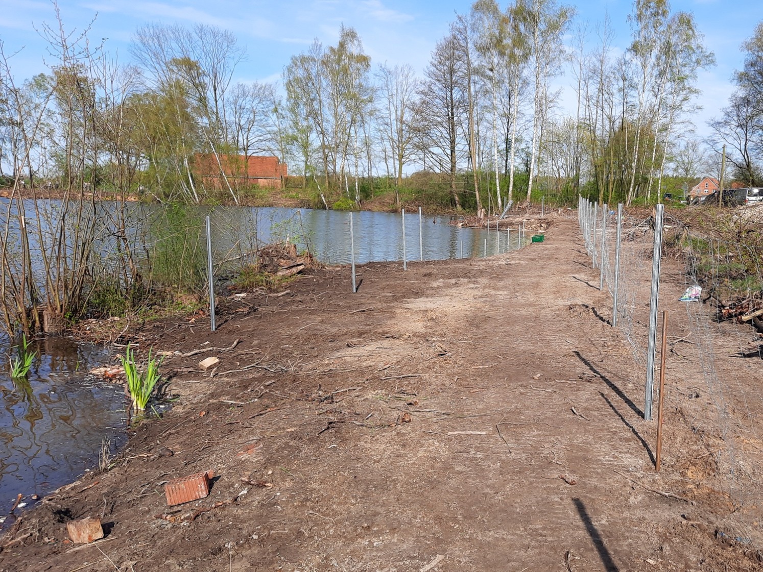 Seeufer mit Einzäunung.