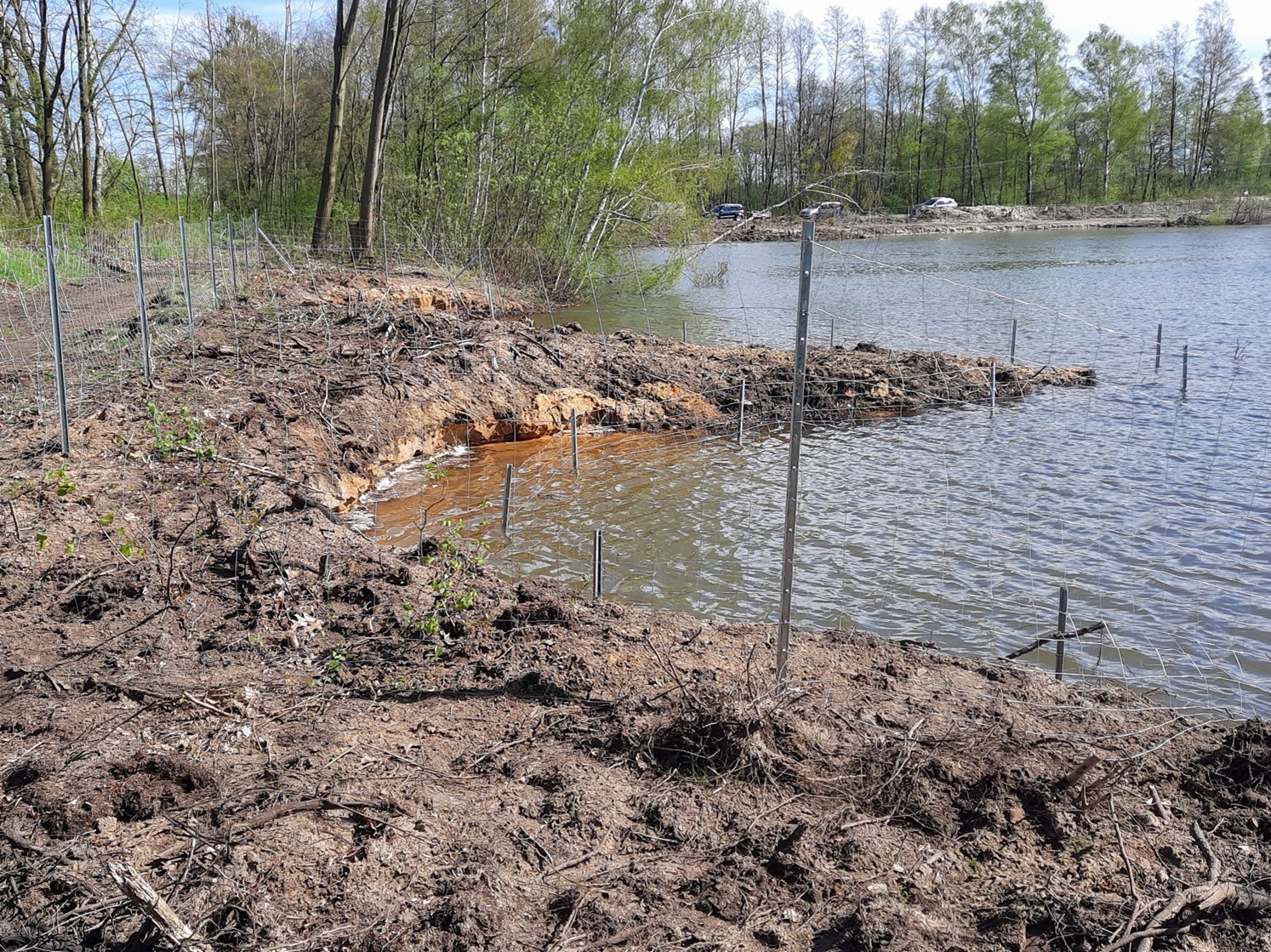 Seeufer mit Einzäunung