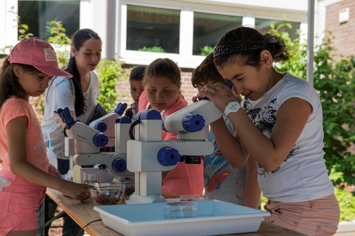 Umweltbildung Eine Gruppe von Kindern an Mikroskopen
