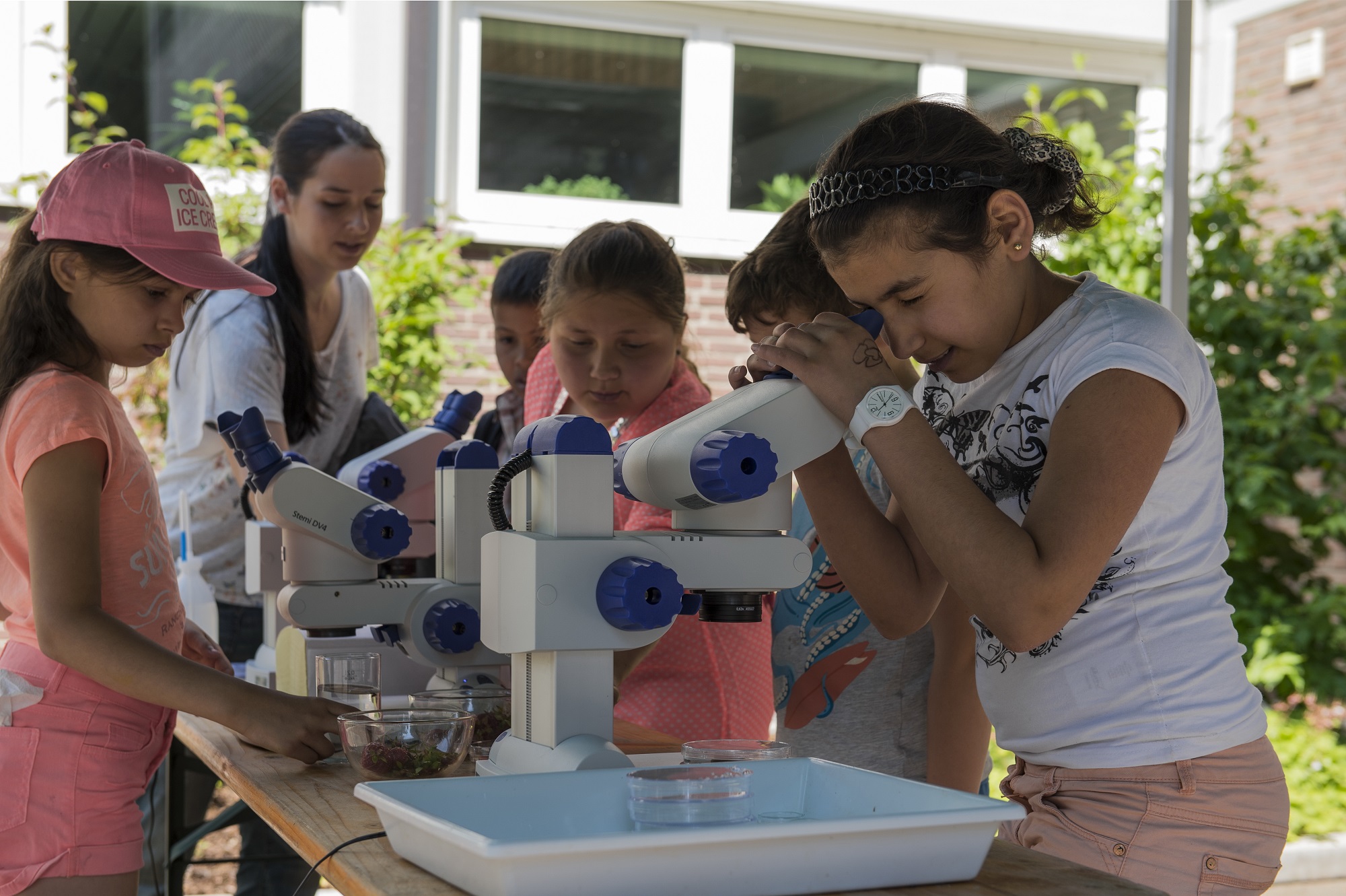 Eine Gruppe Kinder arbeitet mit Mikroskopen
