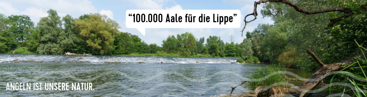 Ein Flussufer der Lippe