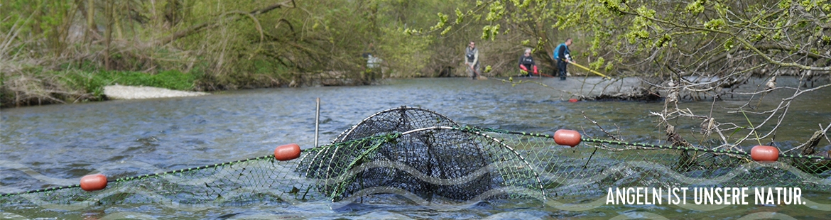 Eine Reuse im Gewässer