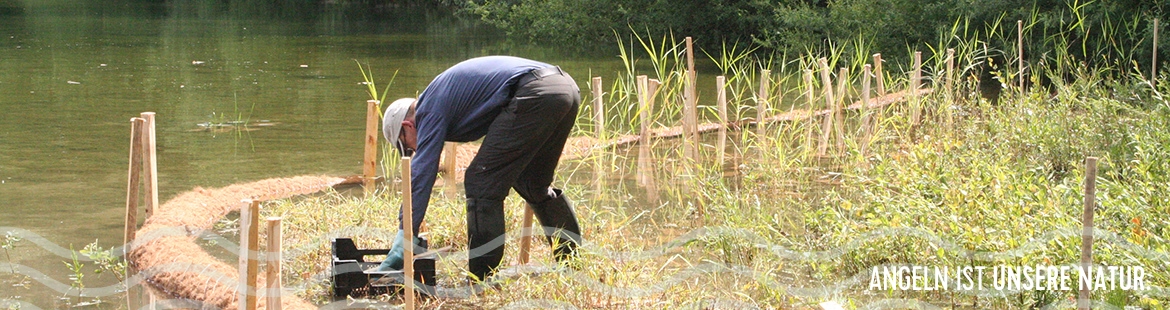 Eine Person bepflanzt eine Uferzone
