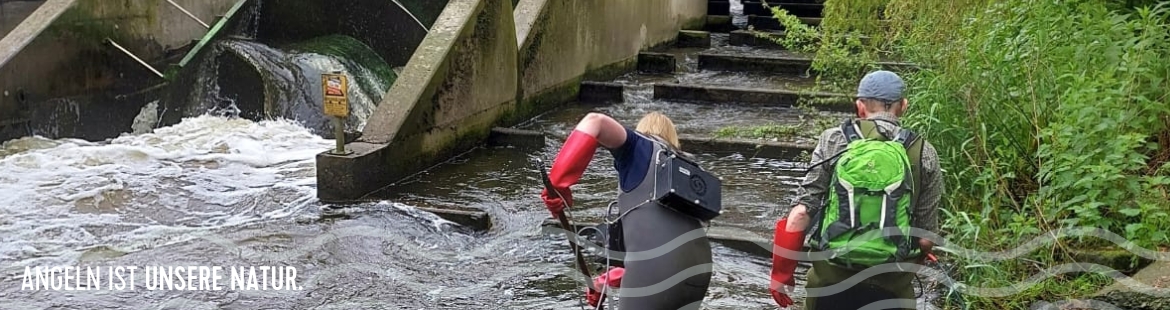 Elektrobefischung unter einer Wasserkraftanlage