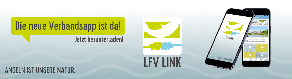 Mockups und Icon der LFV-App