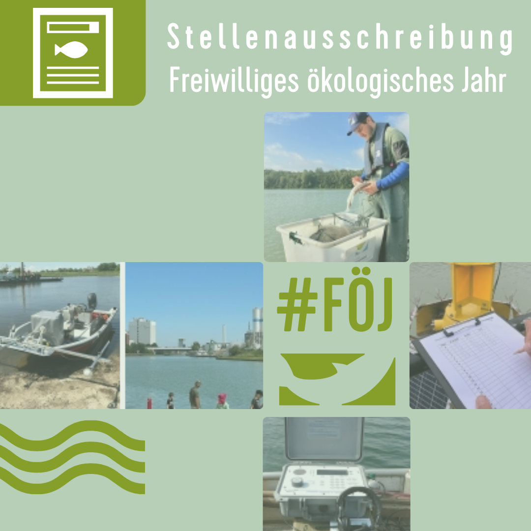 Stellenausschreibung zum freiwilligen ökologischen Jahr Bild mit Text und Fotos zur Bewerbung einer Stellenausschreibung.