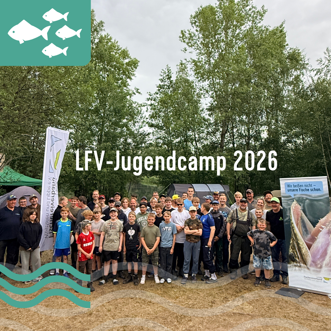 Gruppenfoto des Jugendcamps 2026 Eine Gruppe von Jugendlichen auf einem Jugendzeltlager.