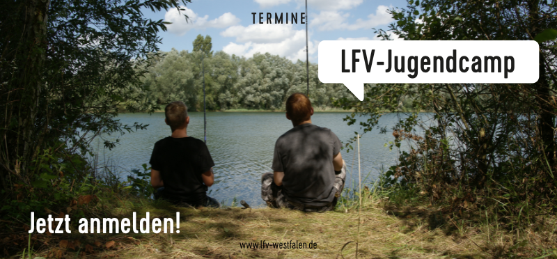 Zwei Jungen sitzen am Seeufer und angeln