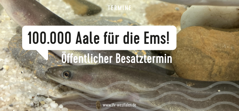 Thumbnail für einen Termin